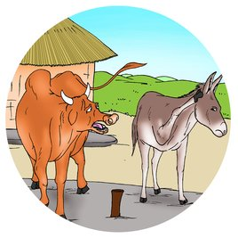 boi-falando-com-jumento